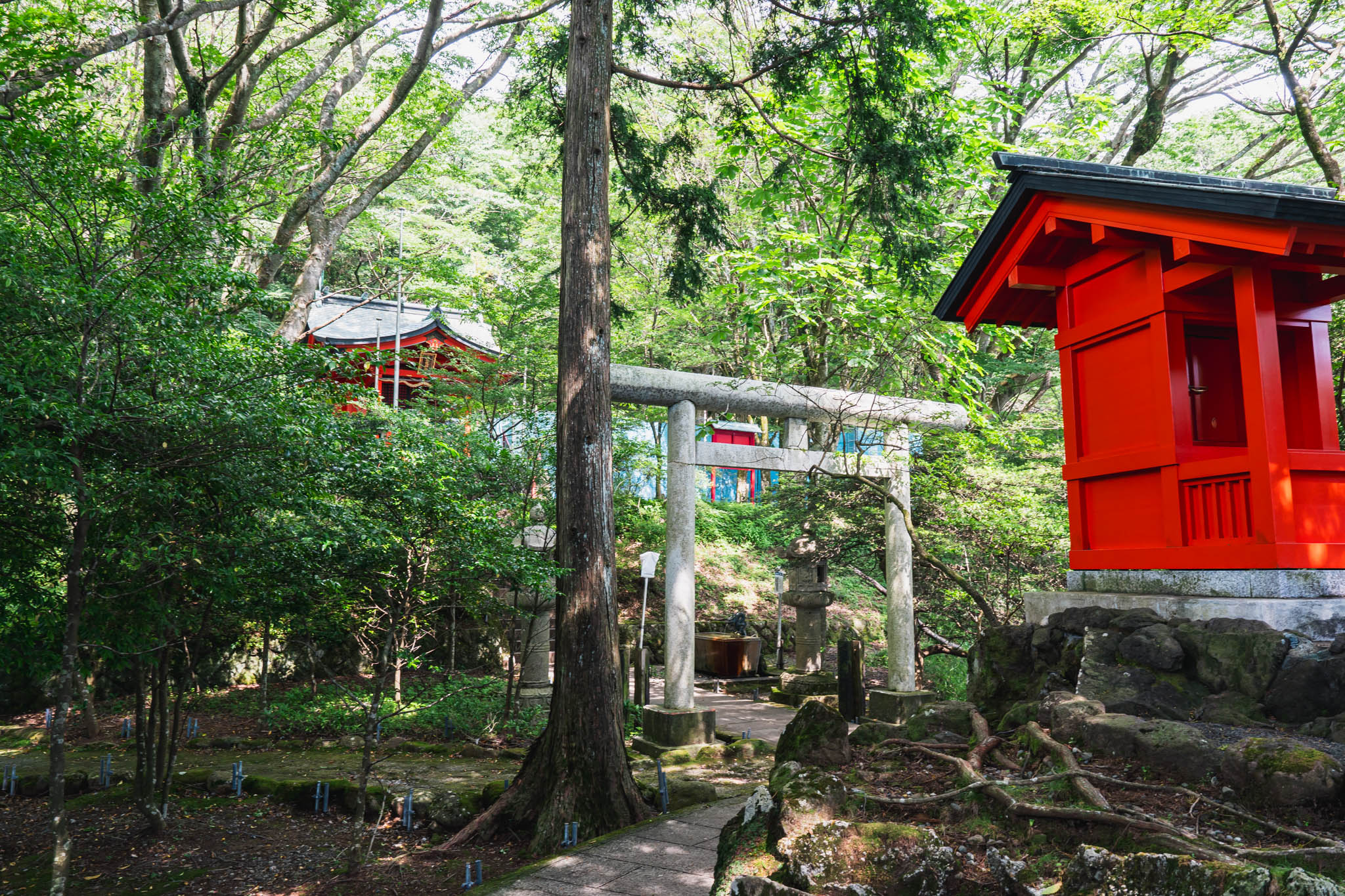 箱根・九頭龍神社本宮｜レンタサイクルで行く縁結びパワースポット完全
