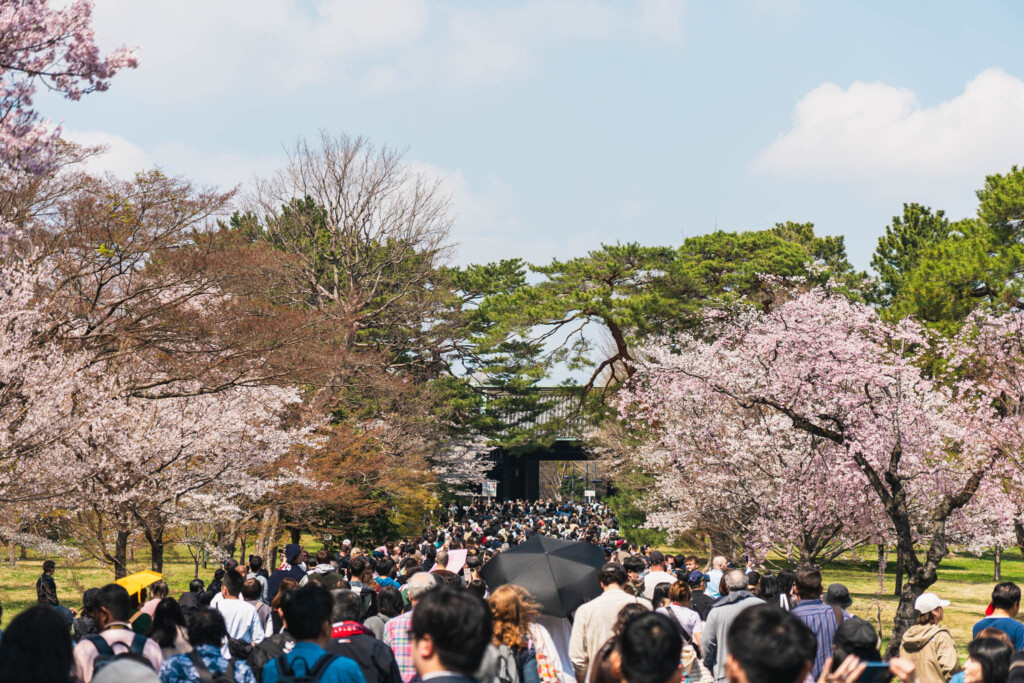 現在の画像に代替テキストがありません。ファイル名: DSC06811.jpg