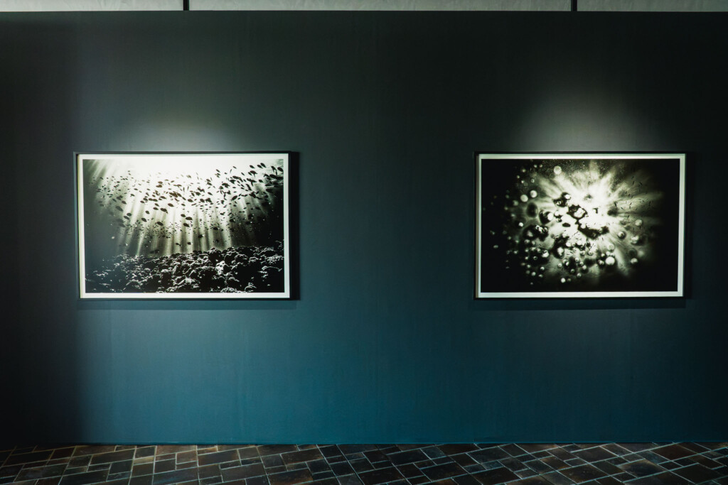 蜷川実花《Dancing with Shadows in the Light》沖縄の海のモノクロ写真