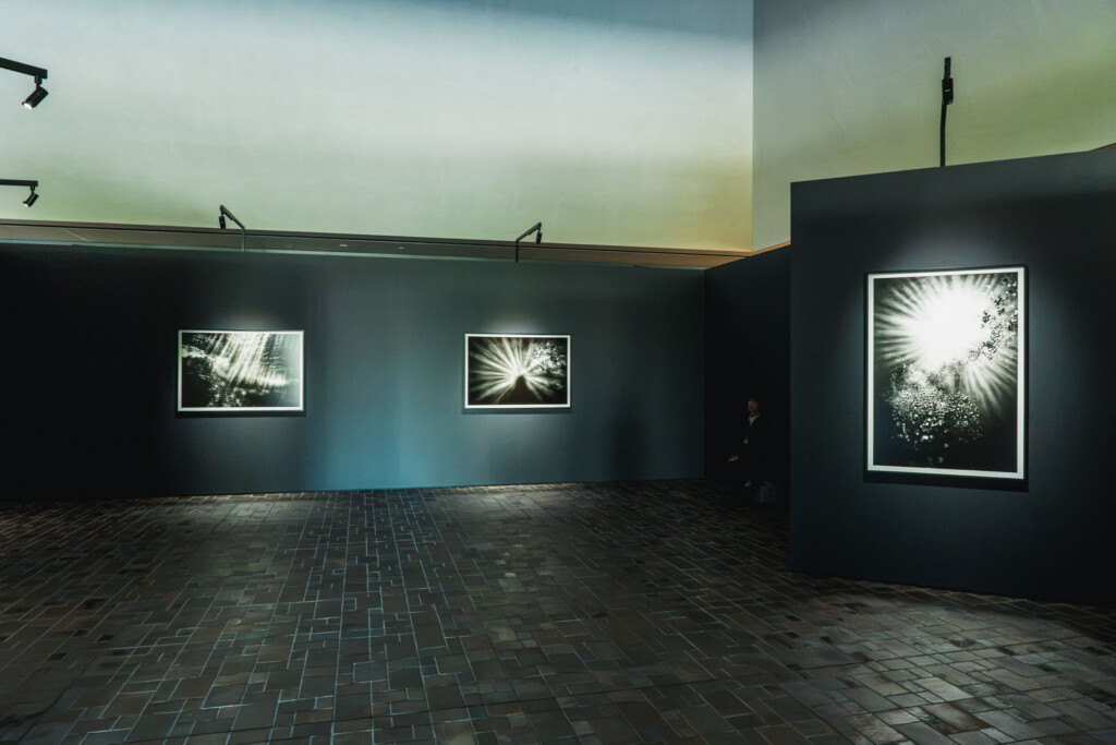 アトリウムに展示された蜷川実花《Dancing with Shadows in the Light》