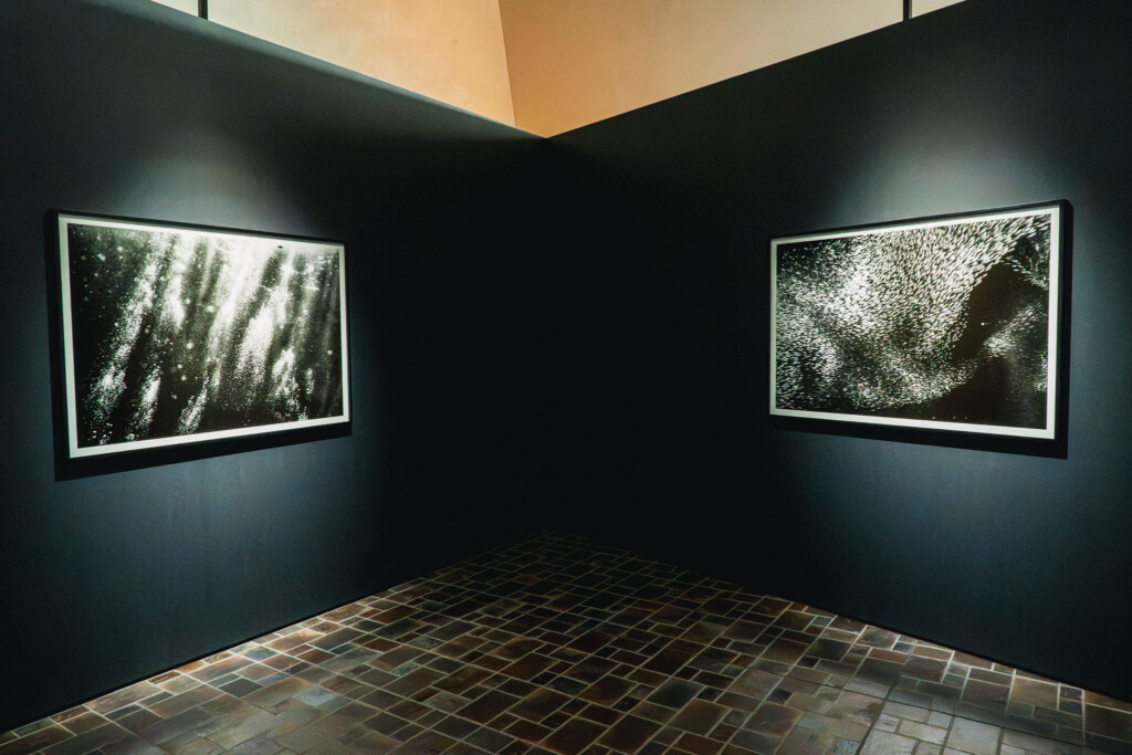 蜷川実花《Dancing with Shadows in the Light》沖縄の海のモノクロ写真