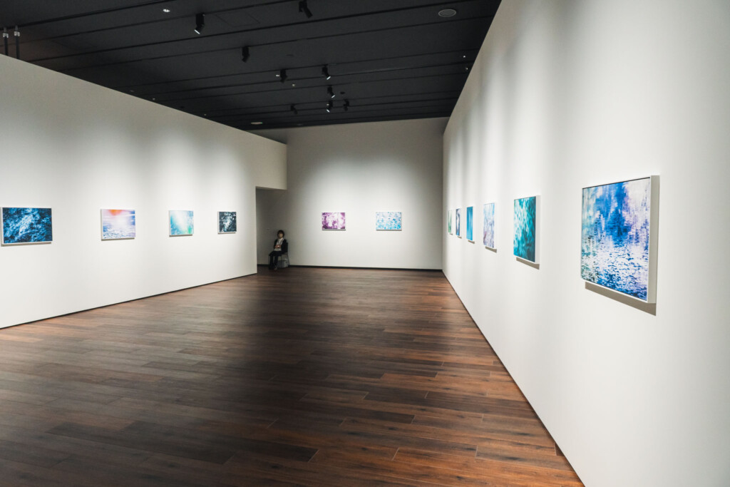 蜷川実花《VIRA》展示室1の展示風景