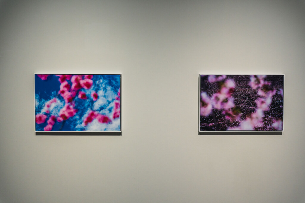 蜷川実花《VIRA》展示室1の展示風景