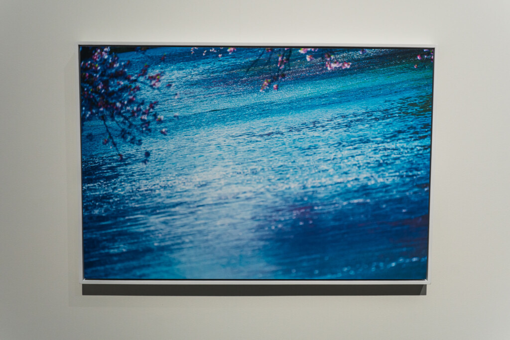 蜷川実花《VIRA》展示室1の展示風景
