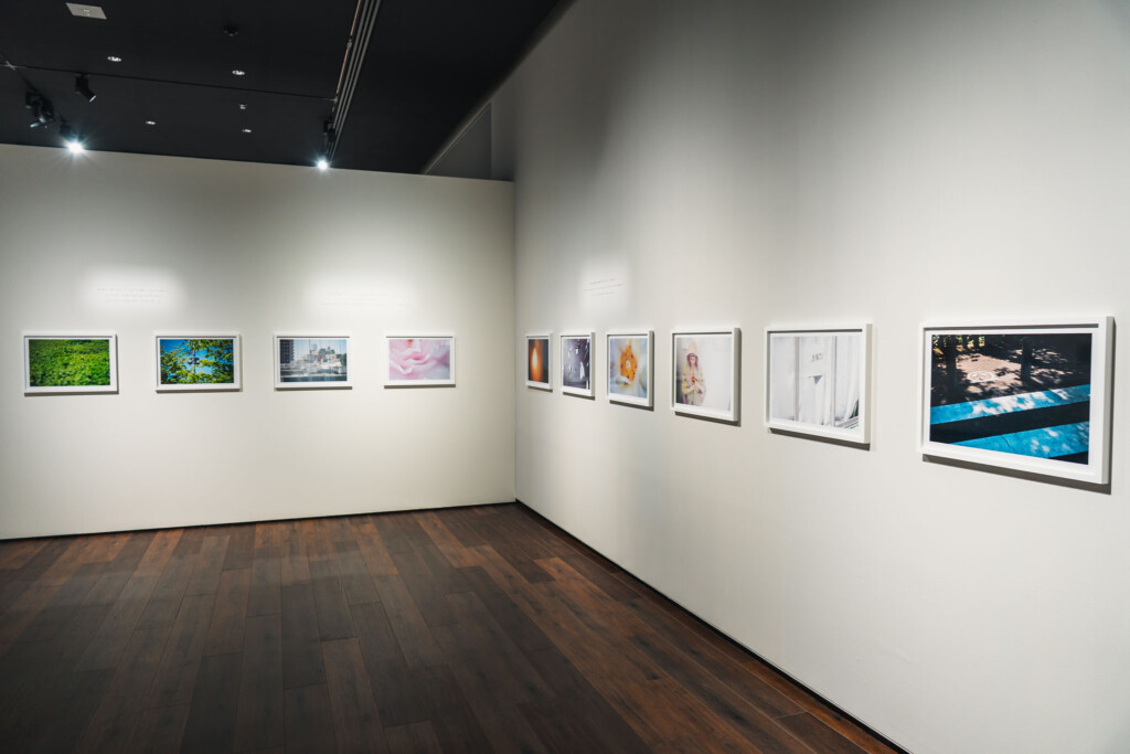 蜷川実花《うつくしい日々》展示室2