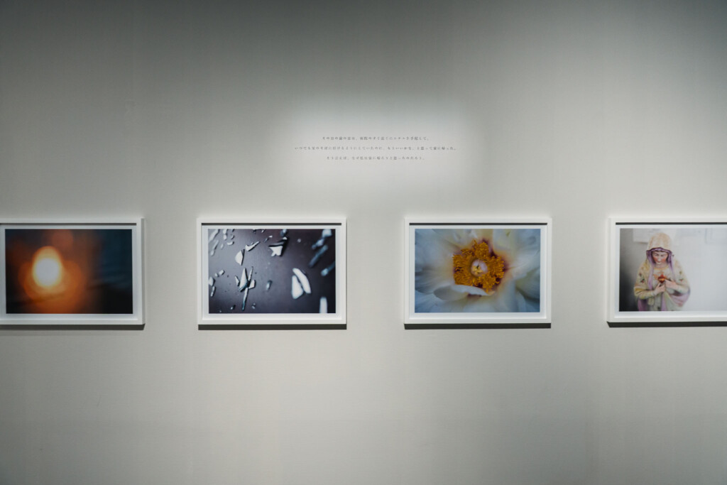 蜷川実花《うつくしい日々》写真とテキストの展示