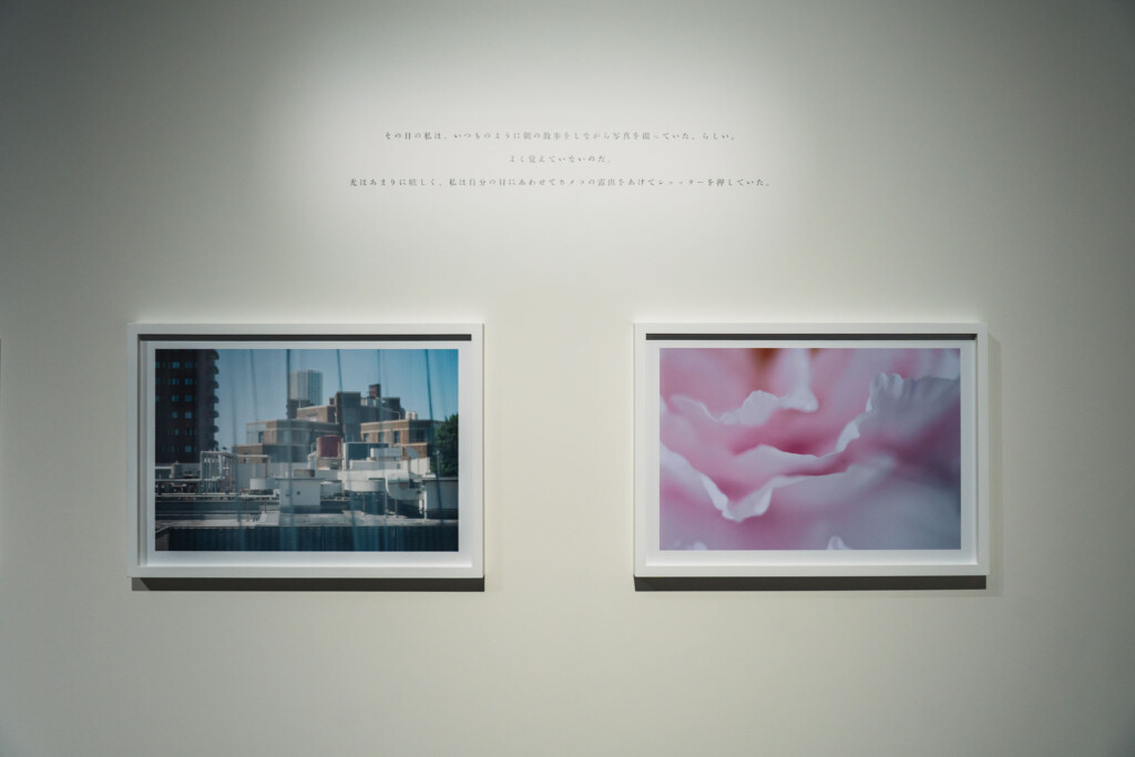 蜷川実花《うつくしい日々》写真とテキストの展示