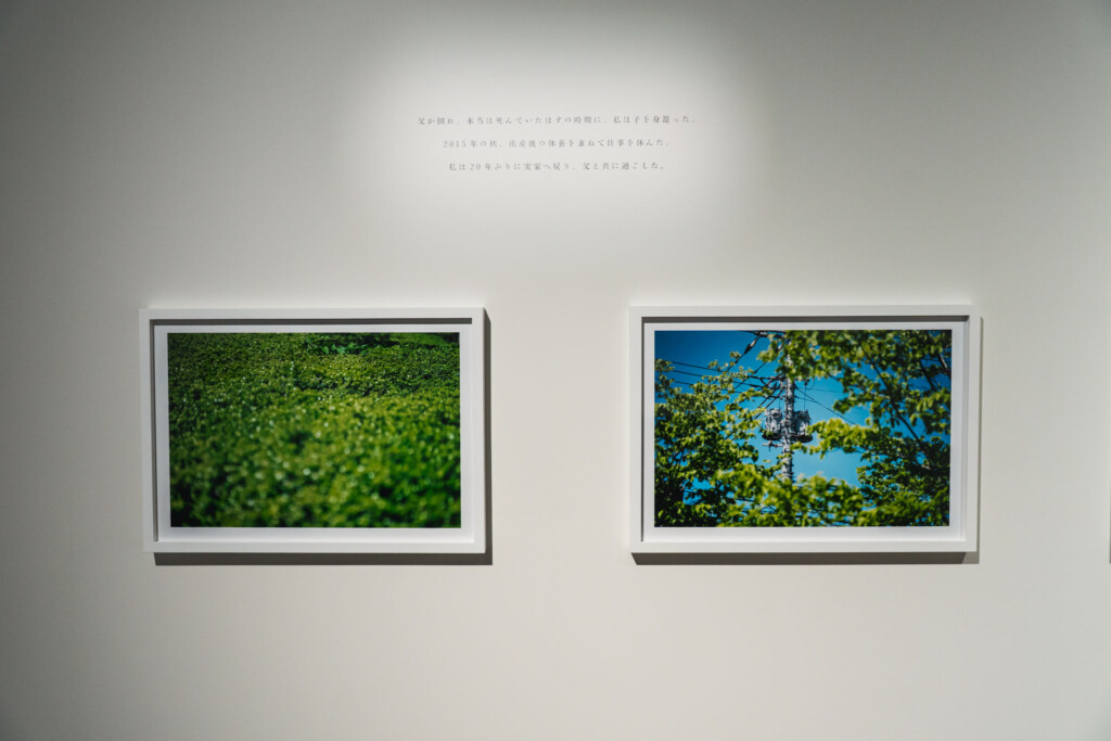 蜷川実花《うつくしい日々》写真とテキストの展示